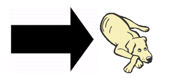 15.gif